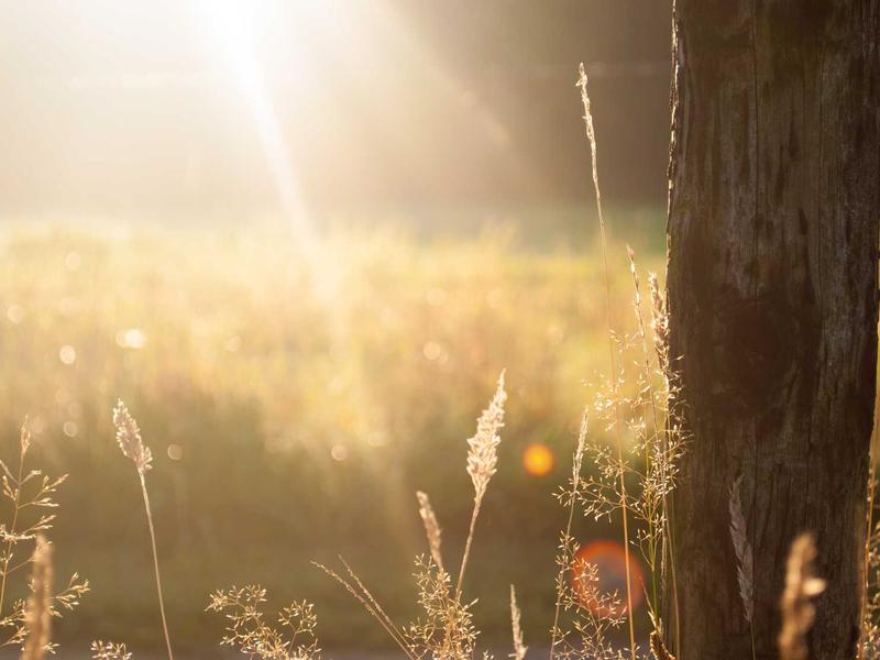 Dra. Florencia Bianchi